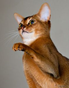 NYE BILDER AV GODPUSEJENTA MI HERA TATT AV SKIKKELIG FOTOGRAF :)